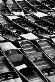 Punts on the River